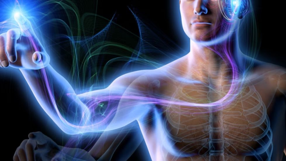 Functional Neuro Health — The PEACE Process